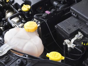 Everything You Need to Know About Car Fluid Icons: What They Mean and How to Check Them